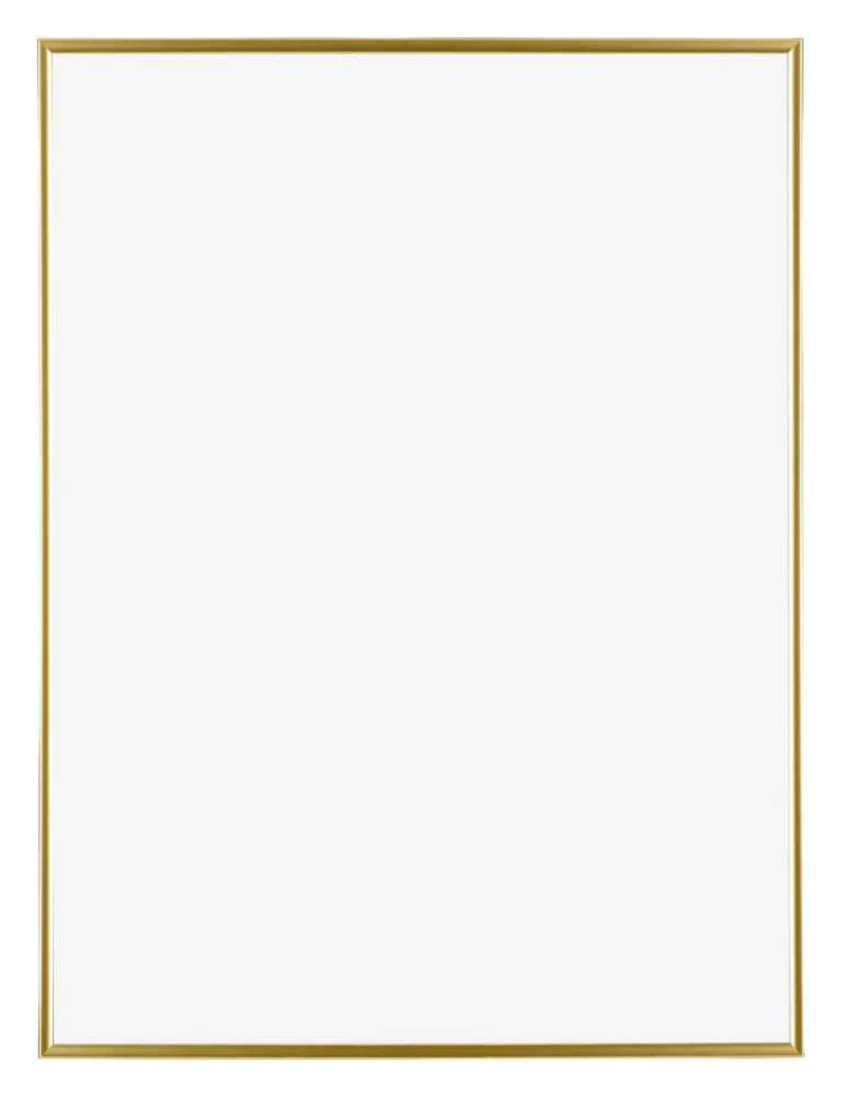 Bilderrahmen 75x98 cm - Gold - Kunststoff - Evry