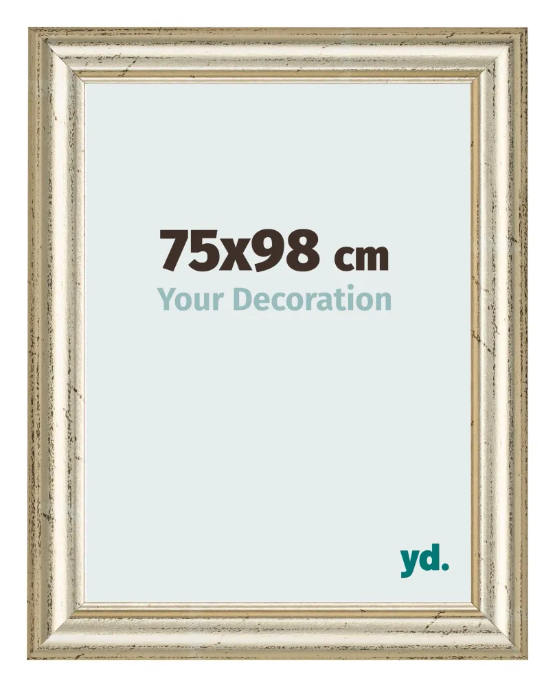 Bilderrahmen 75x98 cm - Metallglanz - MDF - Lazio