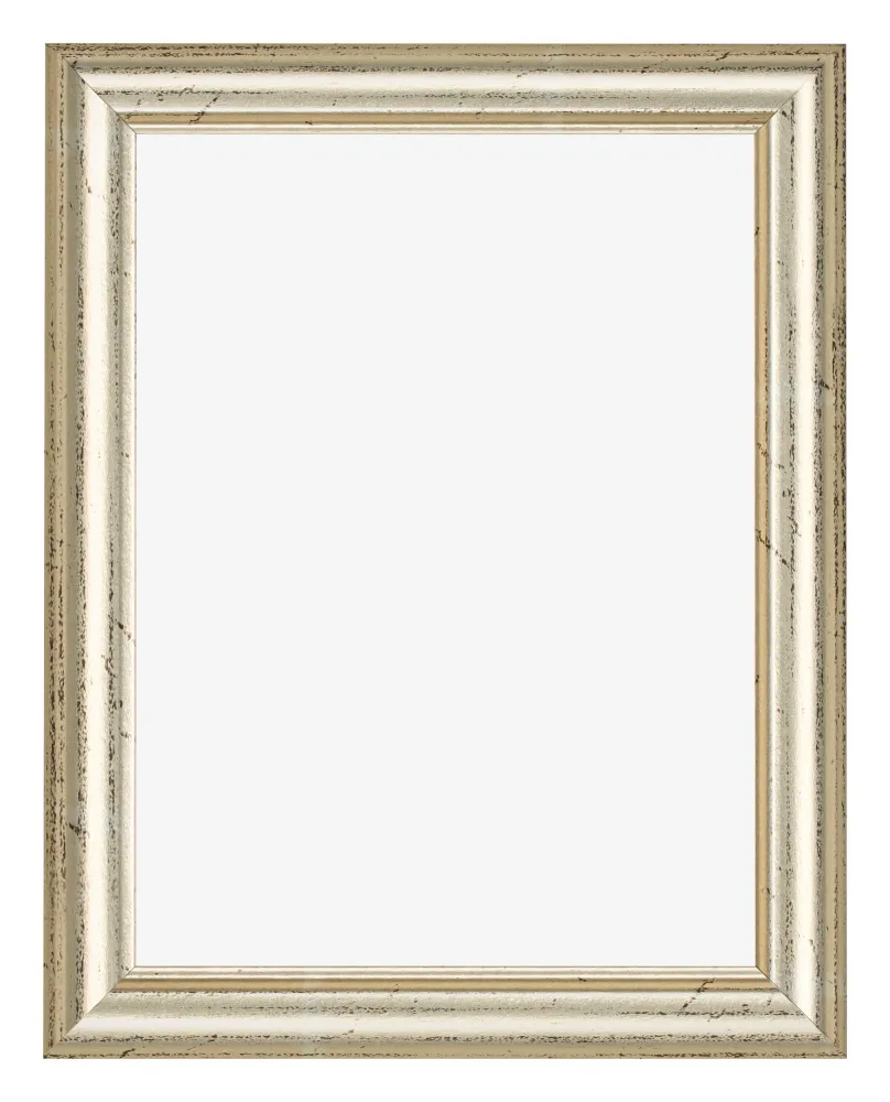Bilderrahmen 75x98 cm - Metallglanz - MDF - Lazio