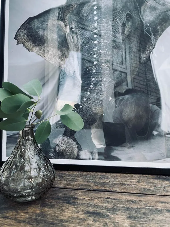 Braune Vase - Rubin