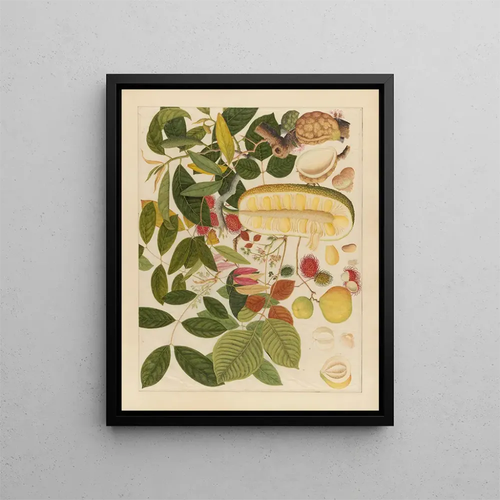 Chinesisches Obst-Aquarell-Album Gemälde Pl01 - Anonym | Kunstdruck