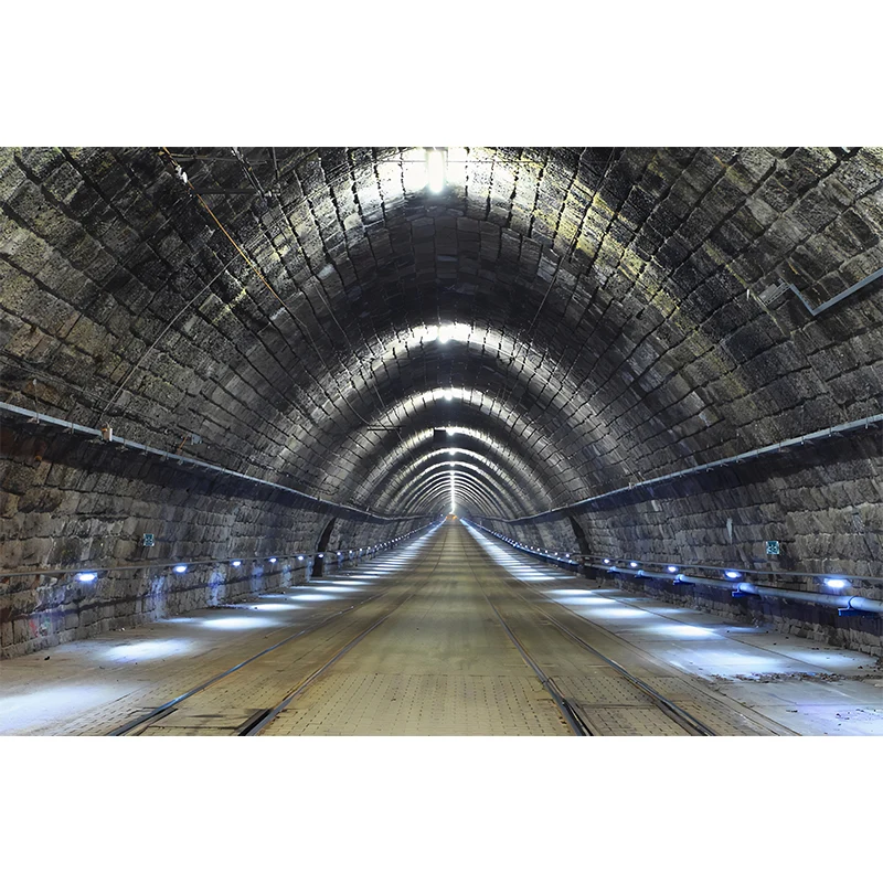 Dekorative unterirdische Tunnel-Wandverkleidung aus Vliesstoff für Besprechungsräume Clearhalo