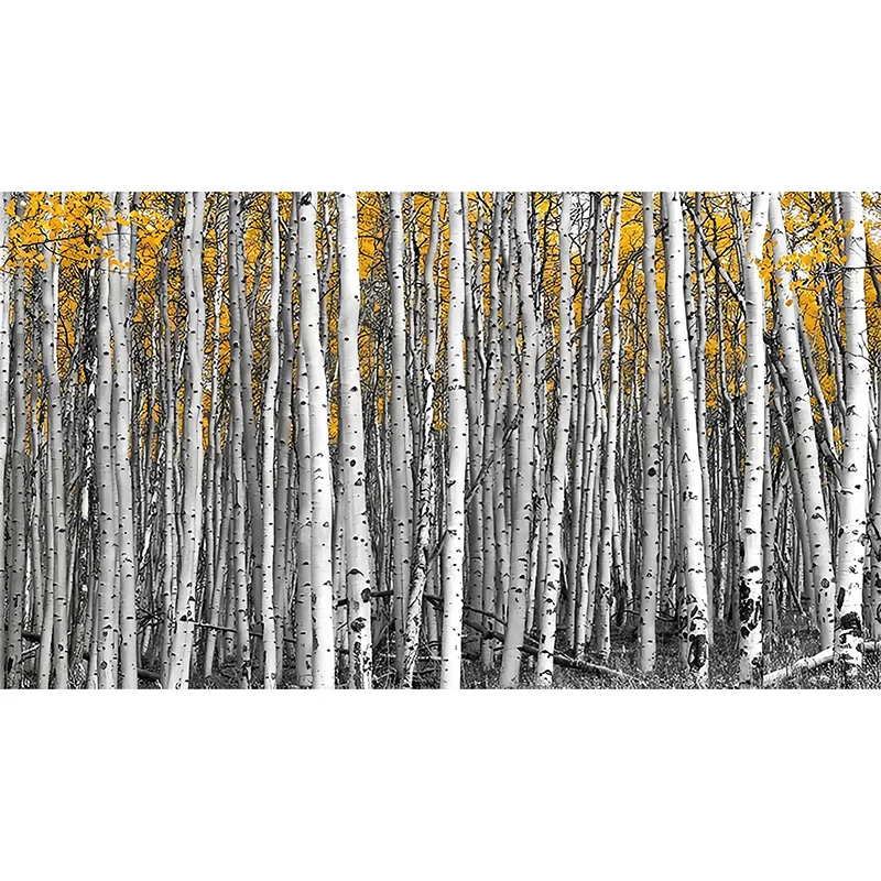 Einfaches Wandbild im großen Fotostil für die Inneneinrichtung mit Birkenbaum-Design Grau und Gelb Clearhalo