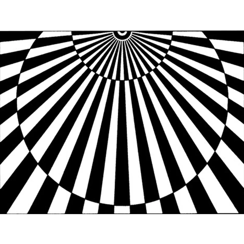 Neuartiger Wohnzimmerteppich Schwarz und Weiß, 3D-Halbkreis-Streifendruck, waschbarer Polyester-Teppich für Haustiere Clea...