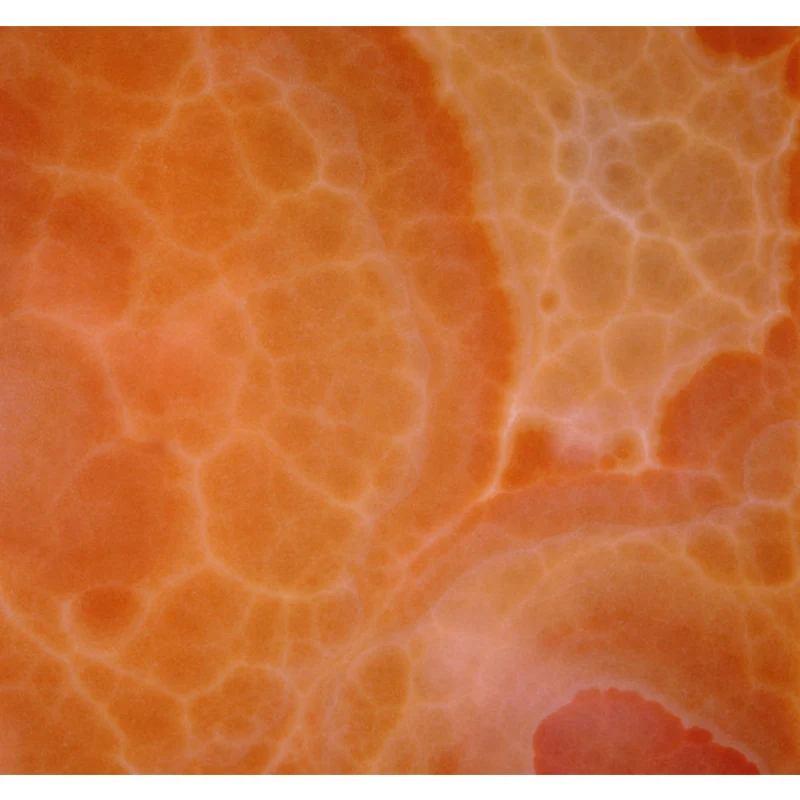 Orangefarbener Wandaufkleber mit Faux-Finish, schmutzabweisender Wandbelag für die Heimdekoration Clearhalo