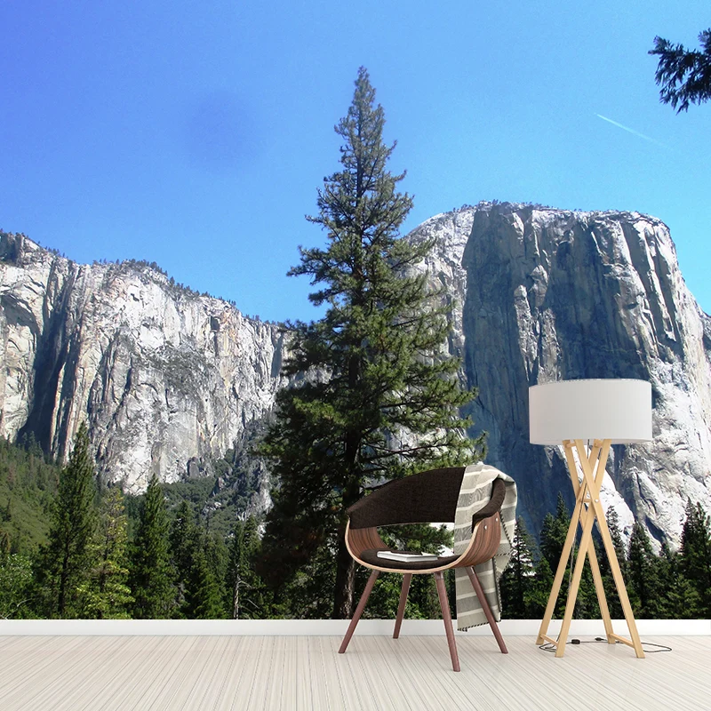 Tapete mit großer Berglandschaft, wasserabweisend, moderne Wohnzimmer-Wandkunst Clearhalo