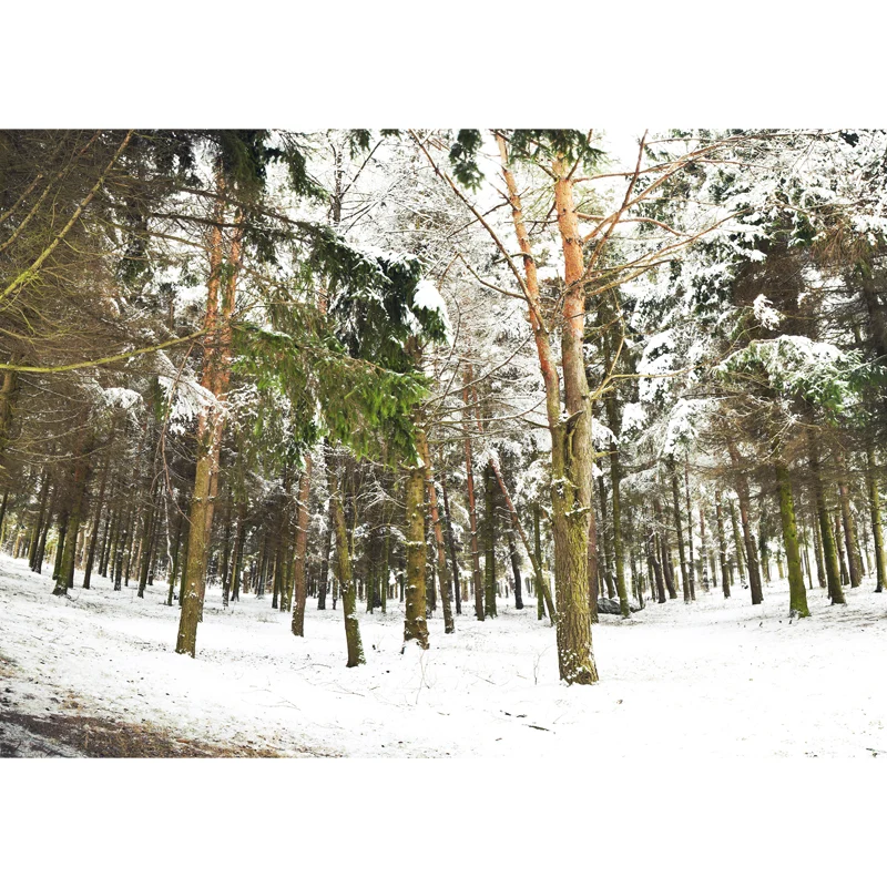 Vlieswaschbares Wandgemälde im modernen Stil, Landschaft im verschneiten Wald, Wanddekoration Grün Clearhalo