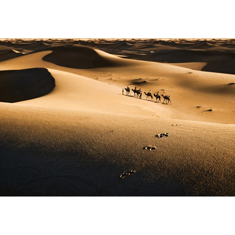 Wandtapete „Big Desert Camel“, feuchtigkeitsbeständig, moderne Wandverkleidung für Schlafzimmer Clearhalo