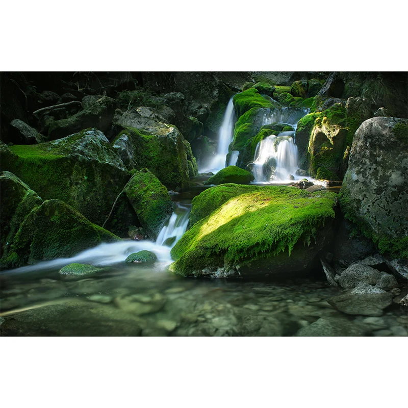 Wasserfall mit Moosstein-Wandaufkleber, grüne Modernismus-Wandverkleidung für die Heimgalerie Clearhalo