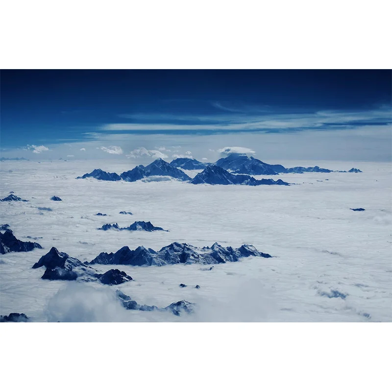 Wilds Covered Snow Wandbild Weiß, zeitgenössische Wandkunst für das Wohnzimmer, individueller Druck Clearhalo