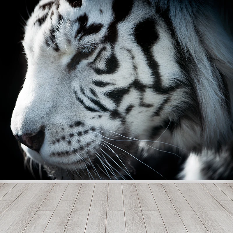 Zeitgenössische Tapete mit zahmen asiatischen Tigern, Wandverkleidung mit schwarzen Naturtieren Clearhalo