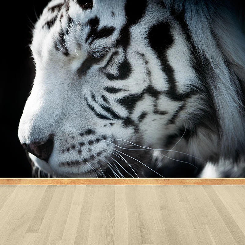 Zeitgenössische Tapete mit zahmen asiatischen Tigern, Wandverkleidung mit schwarzen Naturtieren Clearhalo