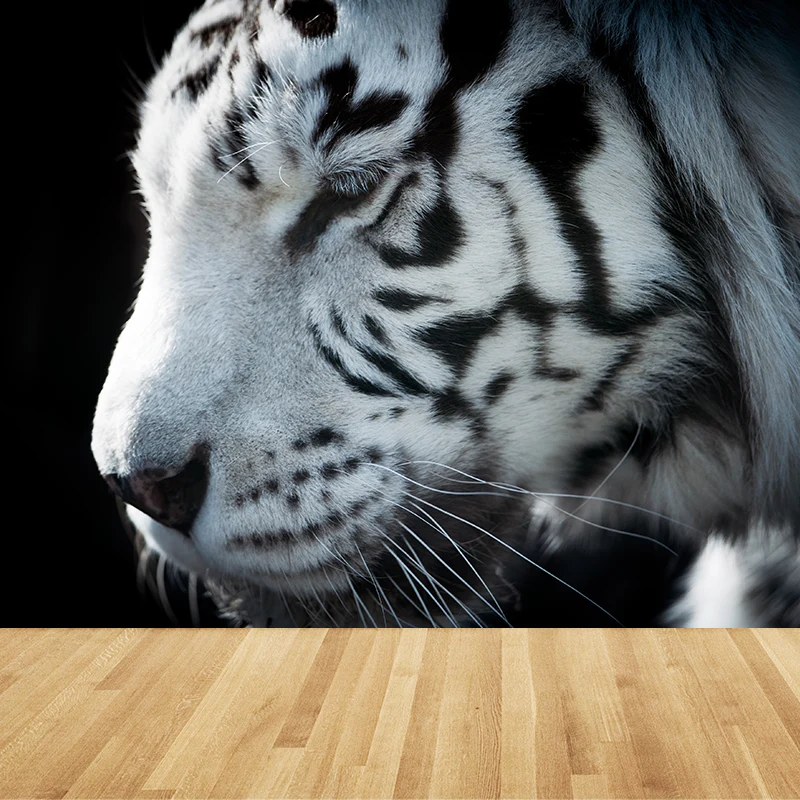 Zeitgenössische Tapete mit zahmen asiatischen Tigern, Wandverkleidung mit schwarzen Naturtieren Clearhalo