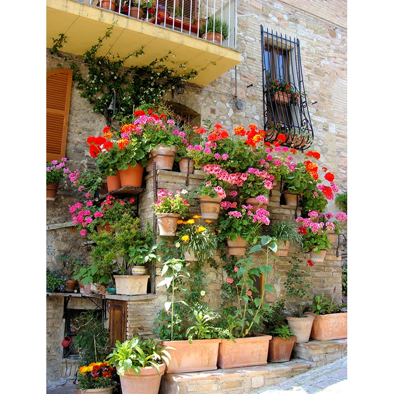 Zeitgenössische Wandtapete für Mädchen, alter Balkon und farbige Blumen, rote Wandverkleidung Clearhalo