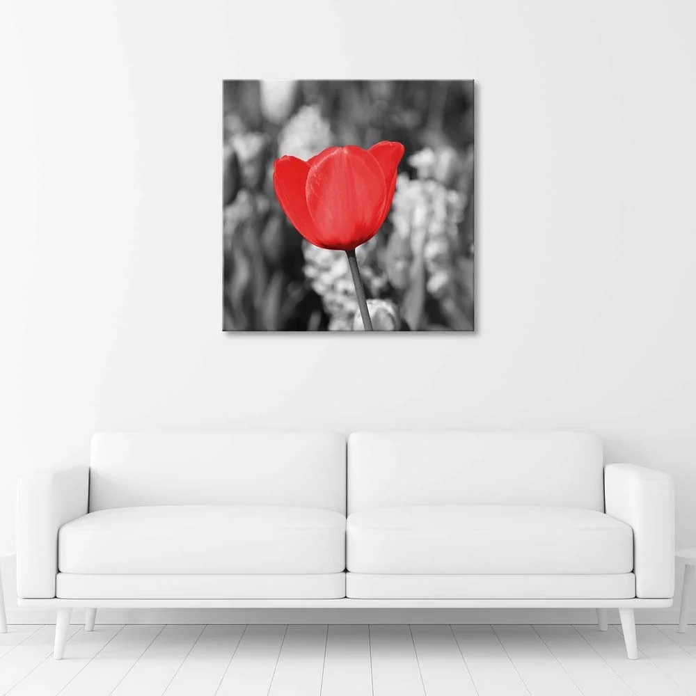 Art-déco-Paneldruck, Rote Tulpen auf der Wiese 30x30 Feeby