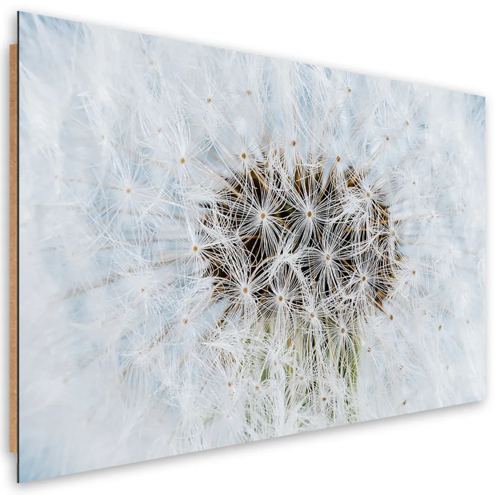 Art-déco-Paneldruck, weiße Löwenzahnblüten 60x40 Feeby