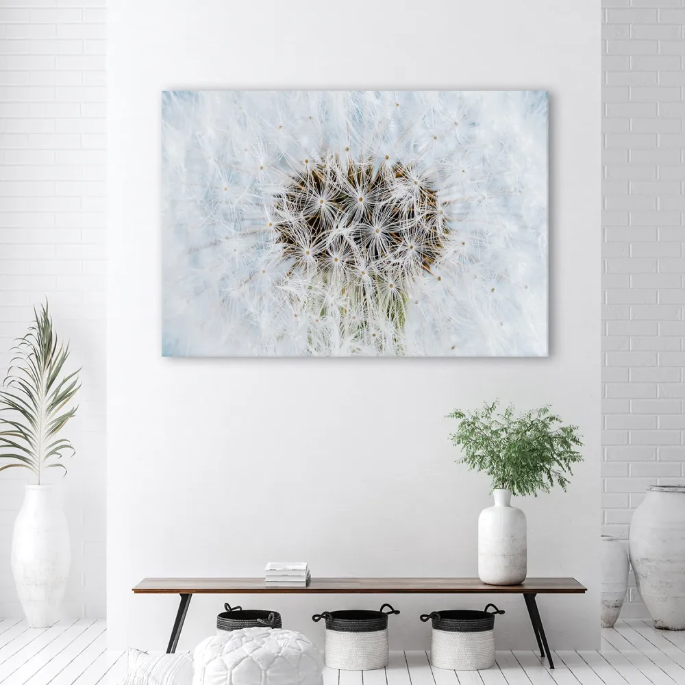 Art-déco-Paneldruck, weiße Löwenzahnblüten 60x40 Feeby