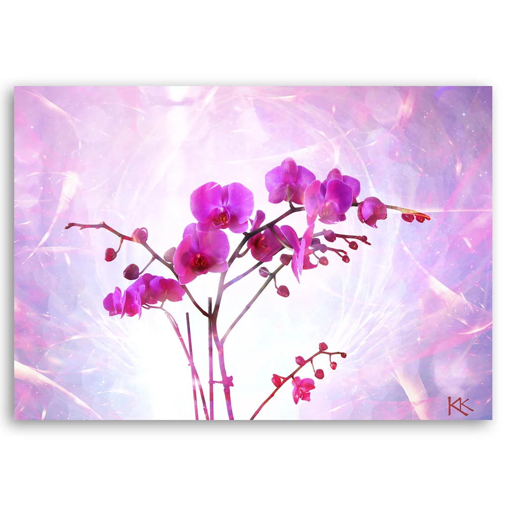 Dekorativer Paneeldruck, Orchideenblüte 60x40 Feeby