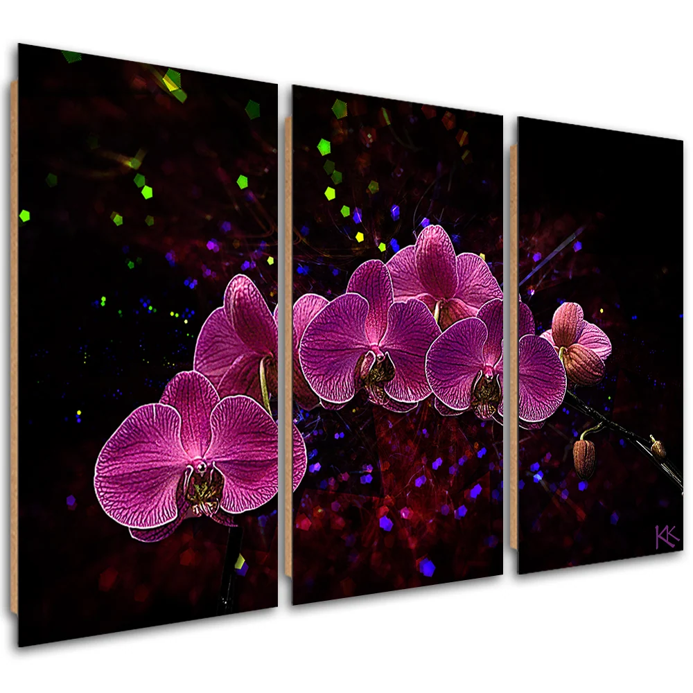 Dreiteiliges Bilddekor-Panel, Orchidee auf dunklem Hintergrund 60x40 Feeby