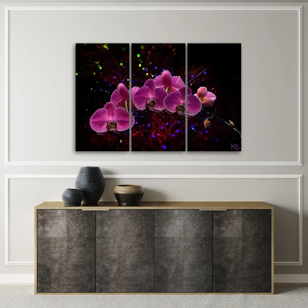 Dreiteiliges Bilddekor-Panel, Orchidee auf dunklem Hintergrund 60x40 Feeby