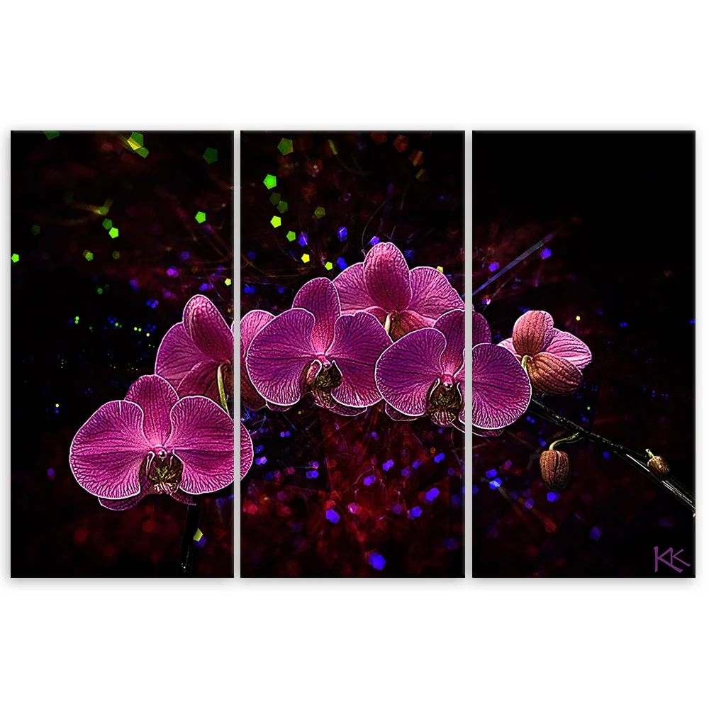 Dreiteiliges Bilddekor-Panel, Orchidee auf dunklem Hintergrund 60x40 Feeby