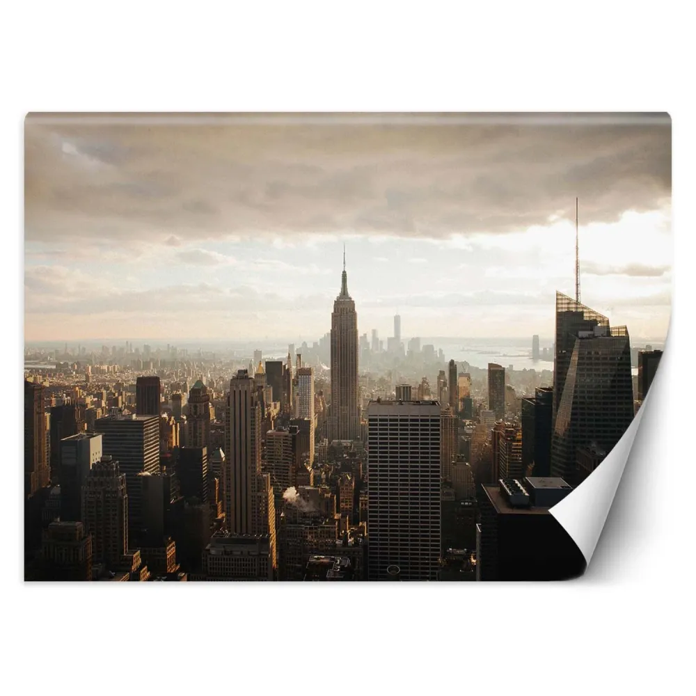Tapete, New York Manhattan USA 100x70 Feeby