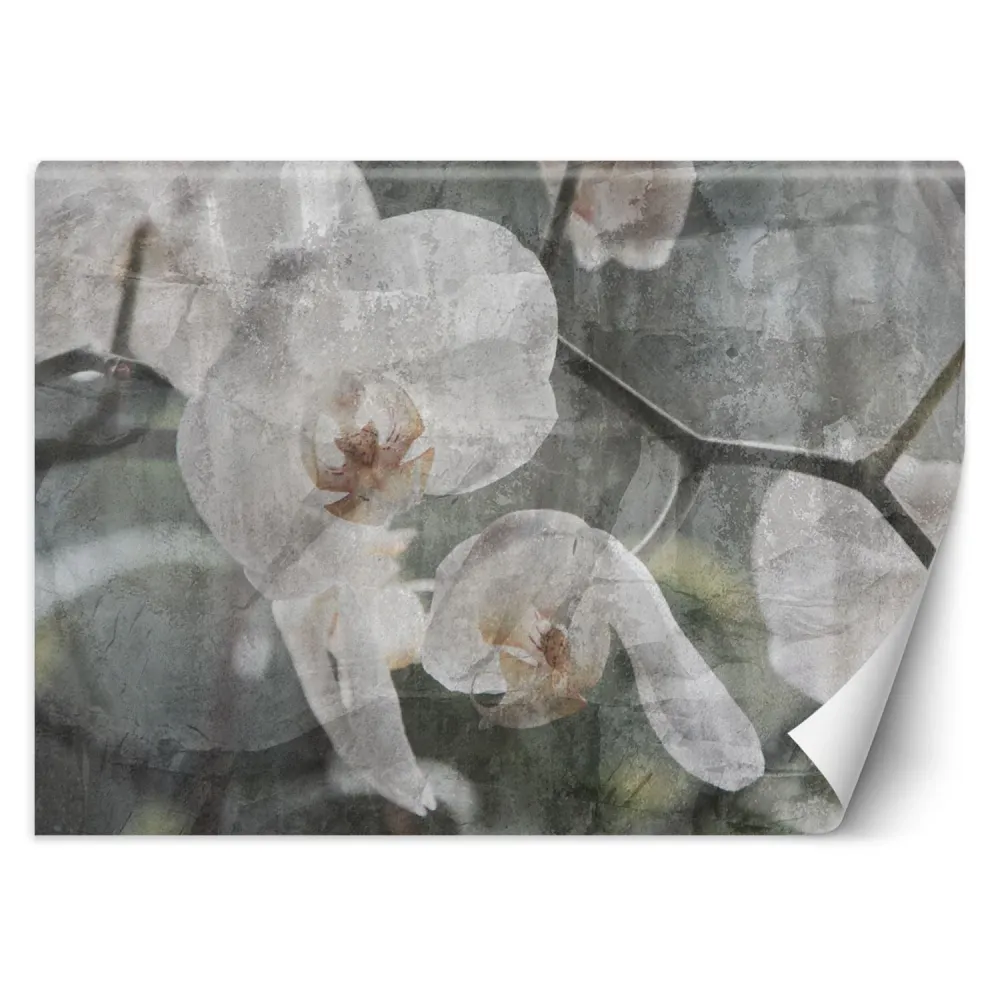 Tapete, Orchideenblüten Retro 100x70 Feeby