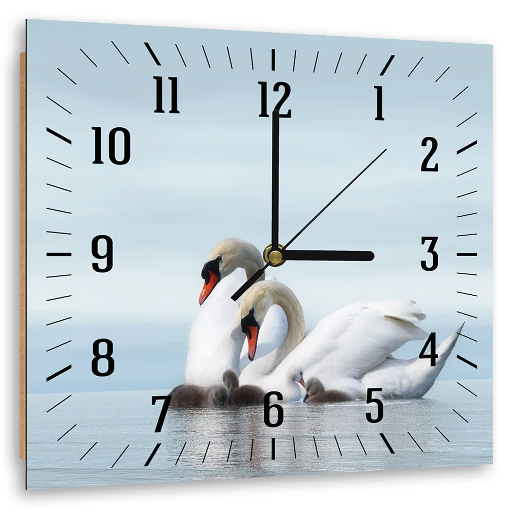 Wanduhr, Schwanenfamilie 40x40 Feeby
