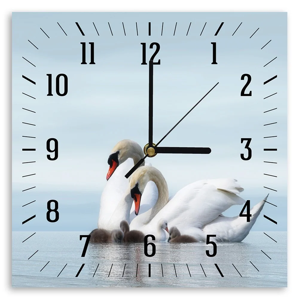 Wanduhr, Schwanenfamilie 40x40 Feeby