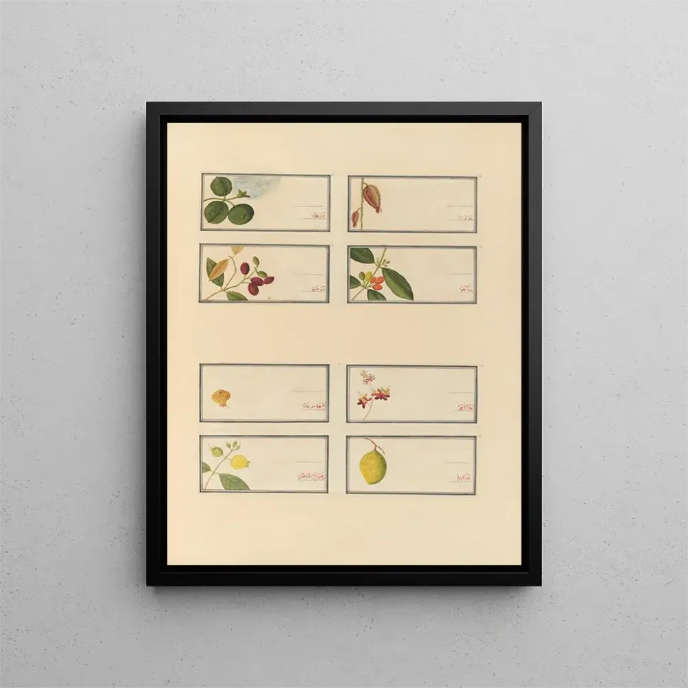 Gemälde Album chinesischer Aquarellbilder asiatischer Früchte Pl24 - Anonym | Kunstdruck