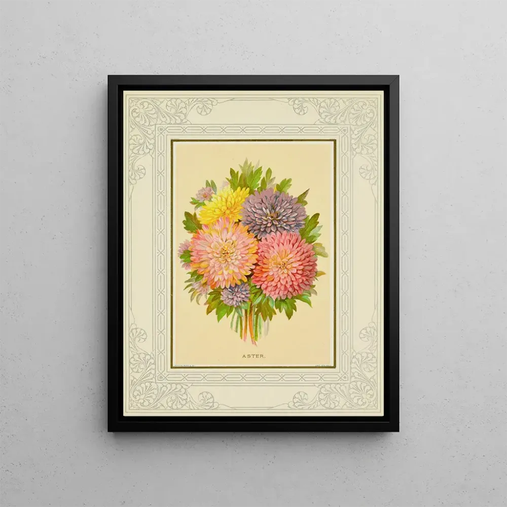 Gemälde Aster - Marcus Ward & Co. | Kunstdruck