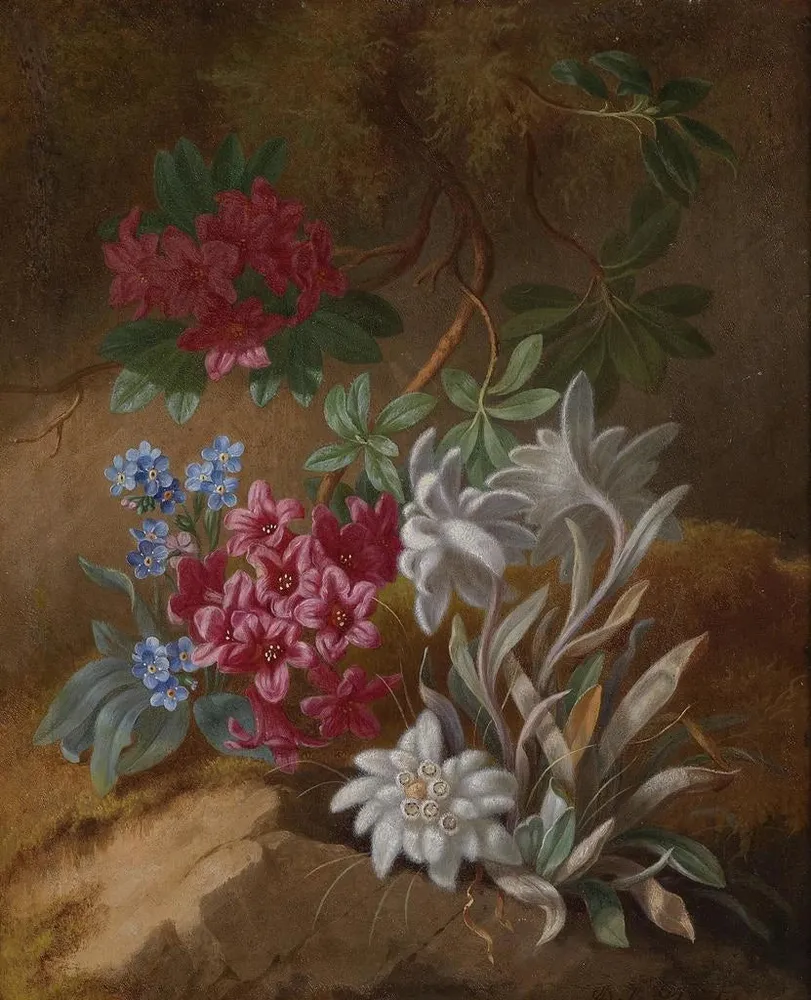 Gemälde Blumen der Alpen - Adèle Schuster