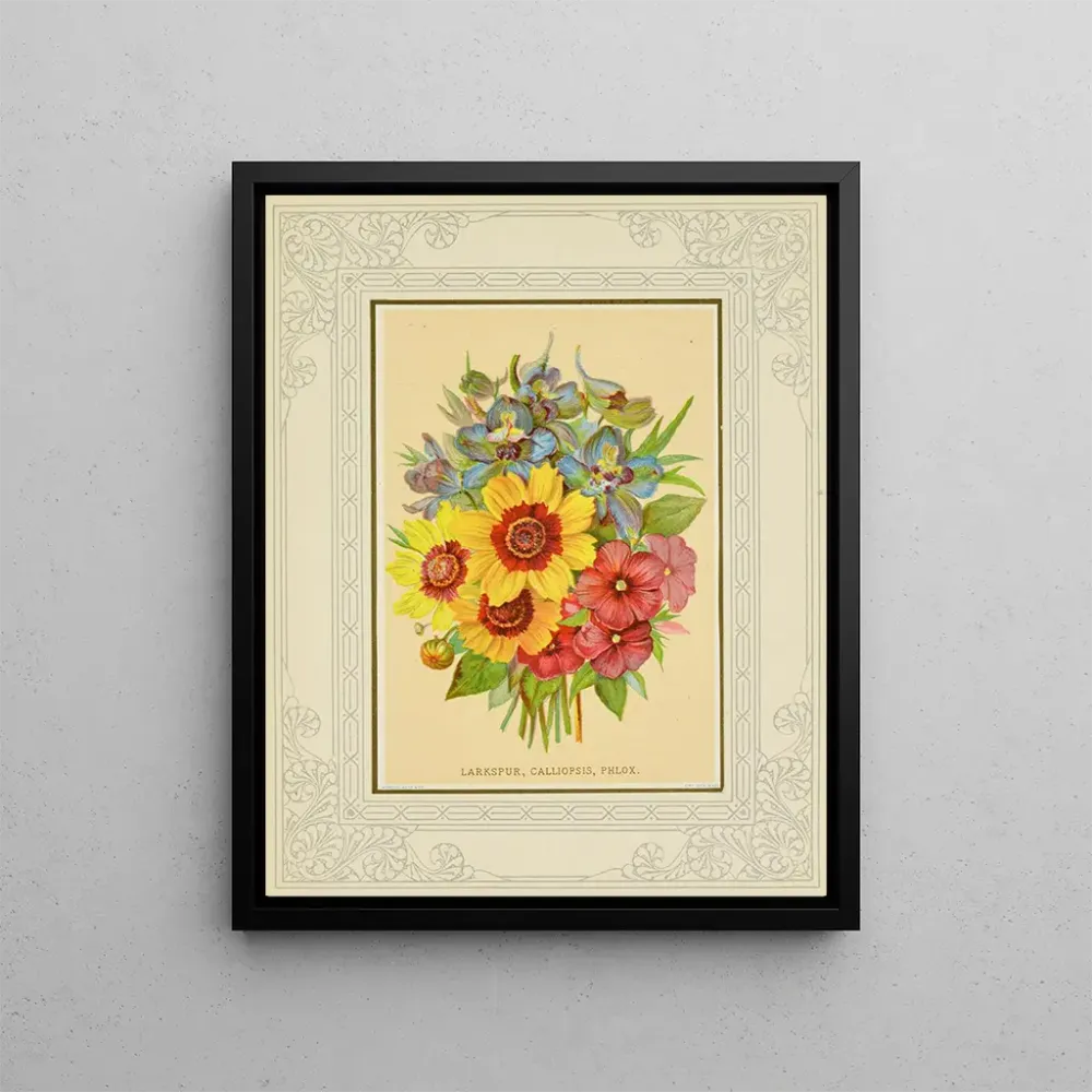 Gemälde Delphinium, Calliopsis, Phlox - Marcus Ward & Co. | Kunstdruck