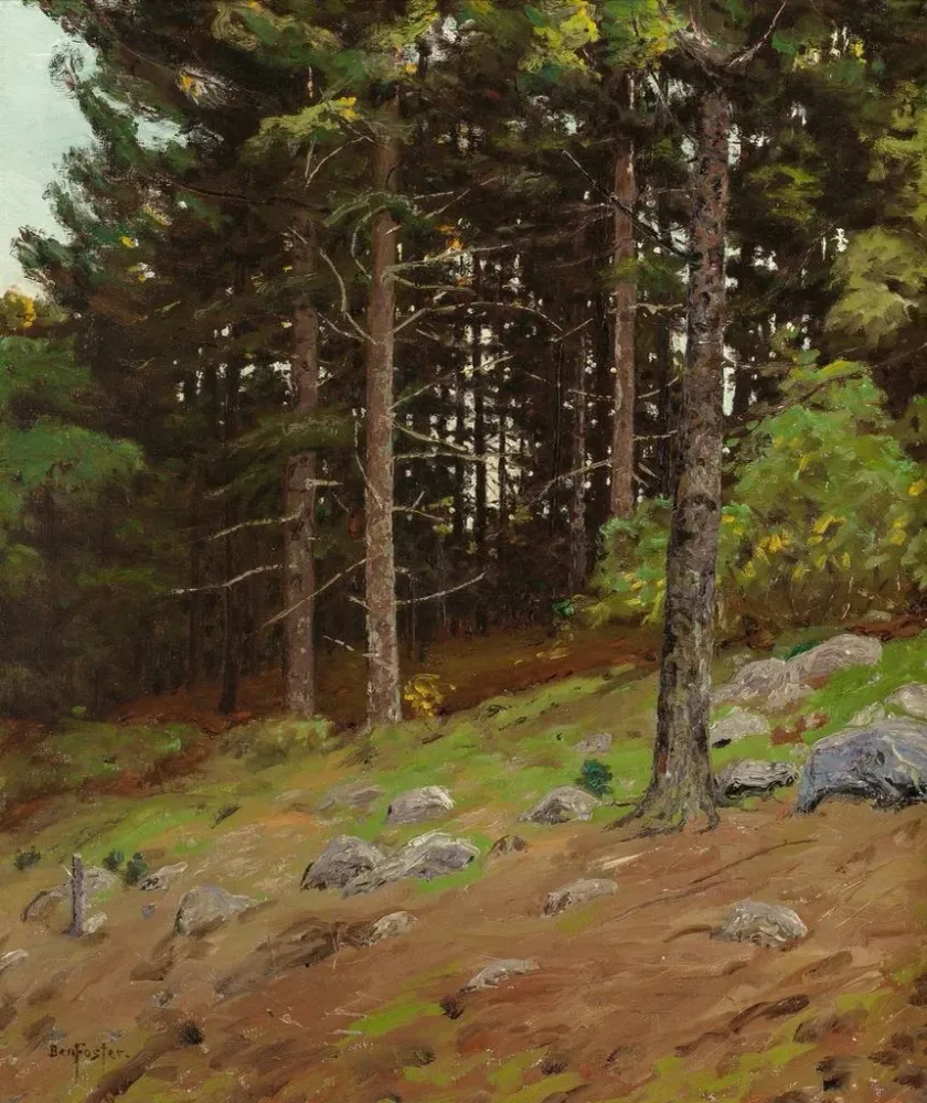 Gemälde den Kiefern - Ben Foster | Kunstdruck