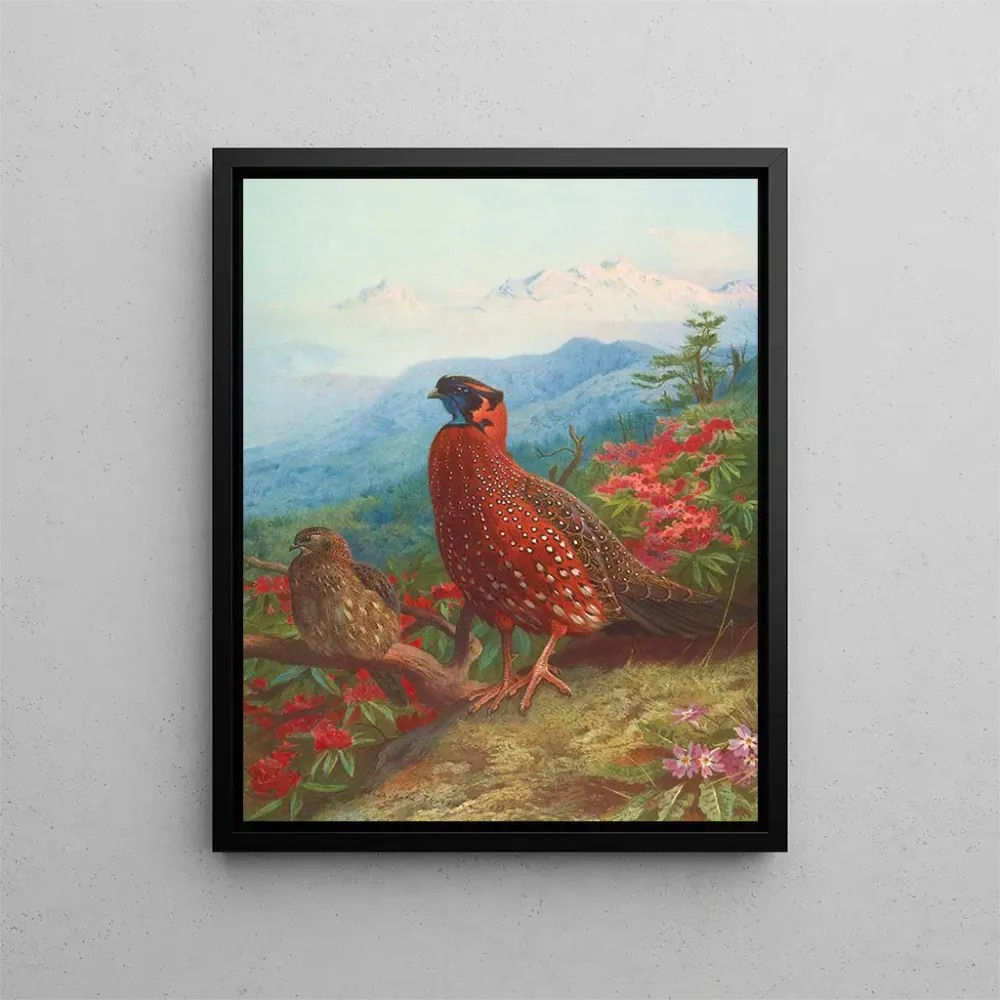 Gemälde Der Satyre tragopan - Archibald Thorburn | Kunstdruck
