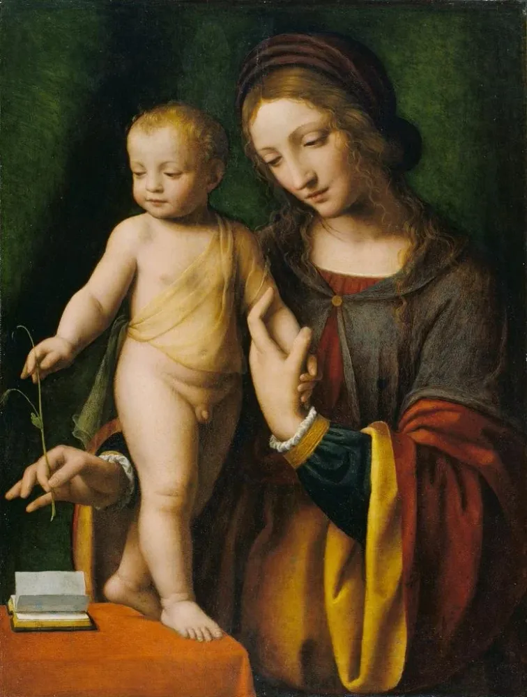 Gemälde Die Jungfrau mit Kind und einer Taube - Bernardino Luini | Kunstdruck
