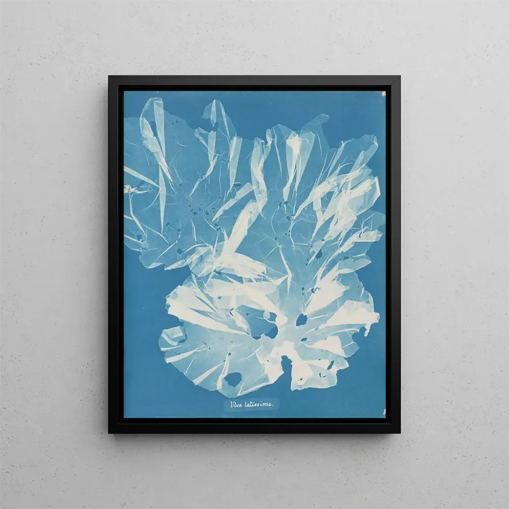 Gemälde Ein sehr breiter Baum - Anna Atkins | Kunstdruck
