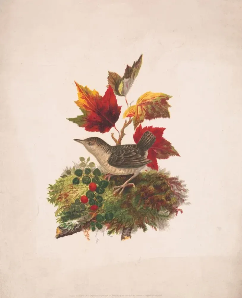 Gemälde Ein Vogel mit Herbstlaub - Louis Prang Co | Kunstdruck