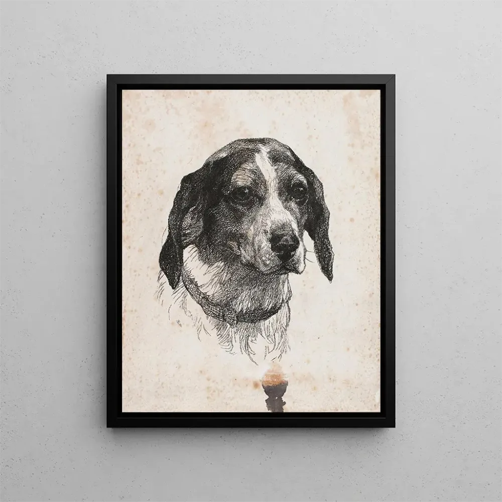 Gemälde Eine Hundekopf - Alexander Blom | Kunstdruck