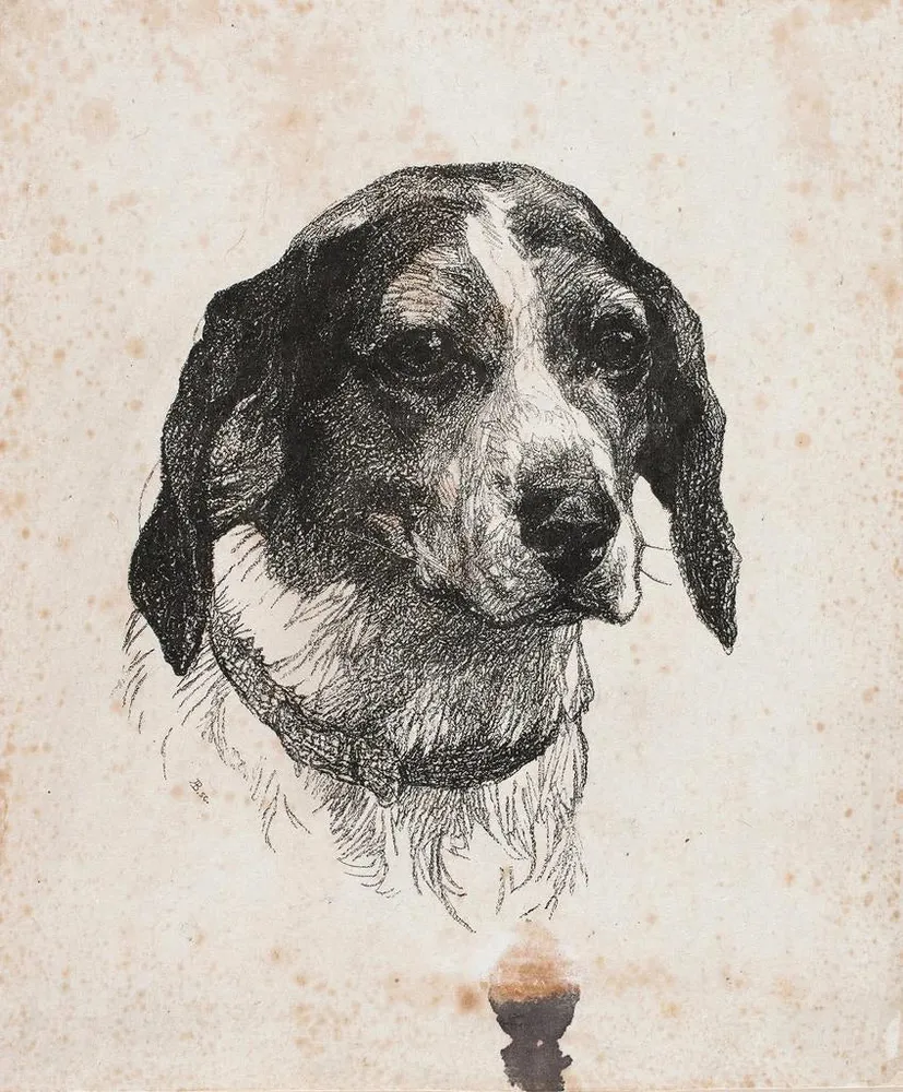 Gemälde Eine Hundekopf - Alexander Blom | Kunstdruck