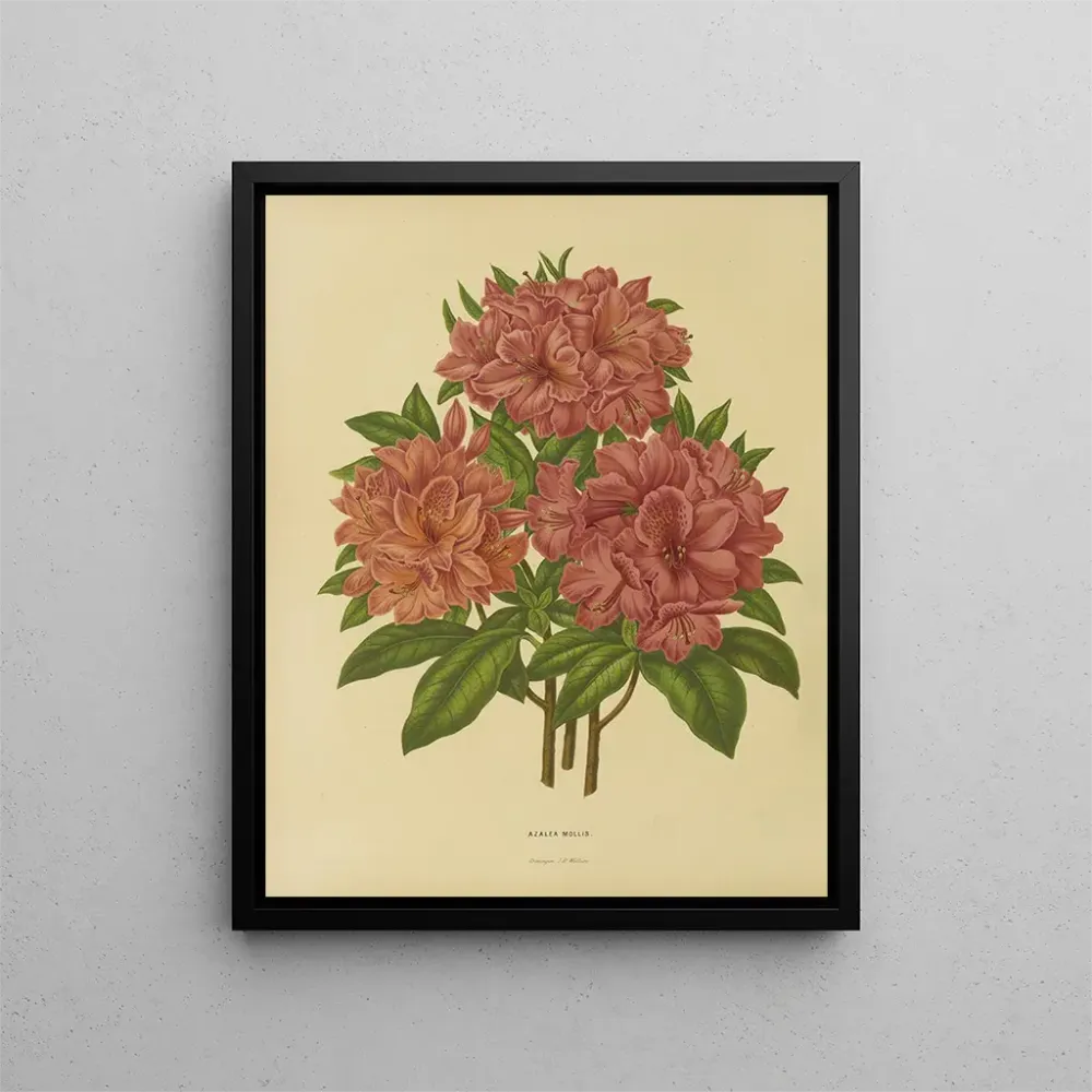 Gemälde Flore hollandaise et Pomone 17 - Abraham Jacobus Wendel | Kunstdruck