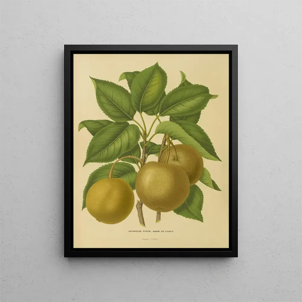 Gemälde Flore hollandaise et Pomone PL21 - Abraham Jacobus Wendel | Kunstdruck