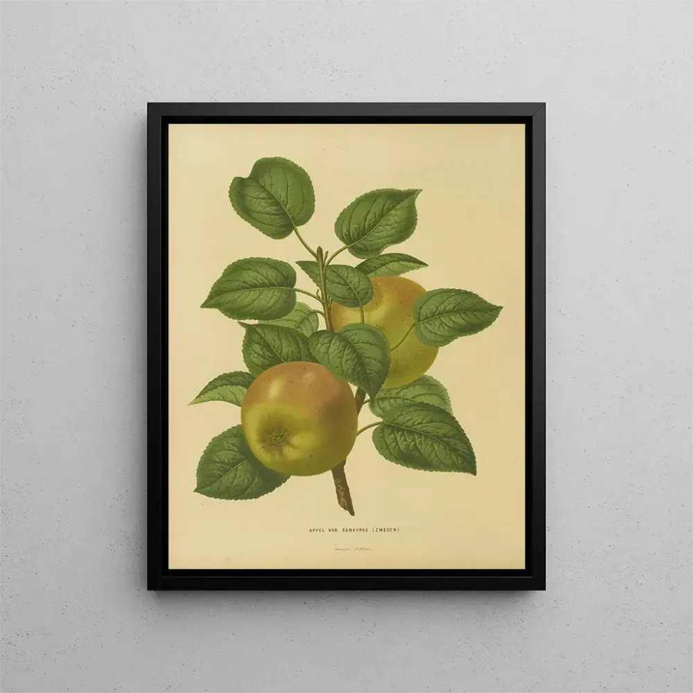 Gemälde Flore hollandaise et Pomone PL27 - Abraham Jacobus Wendel | Kunstdruck