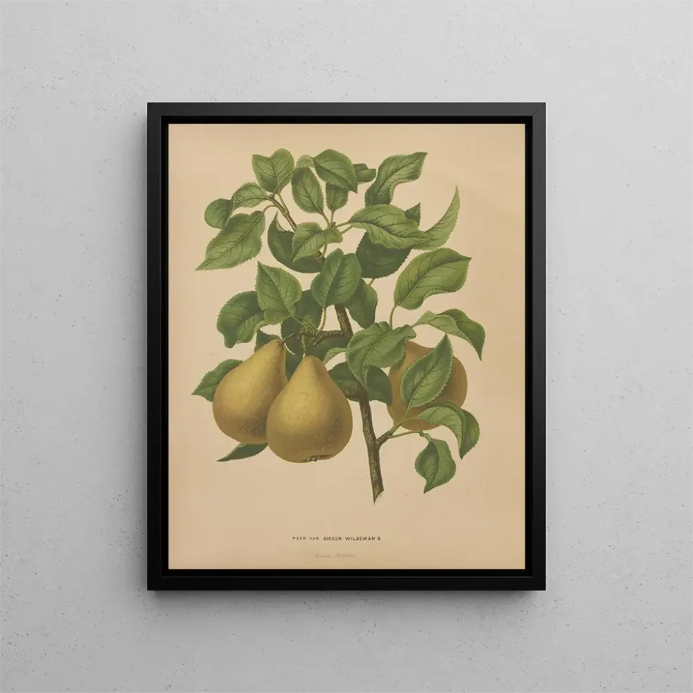 Gemälde Flore hollandaise et Pomone PL51 - Abraham Jacobus Wendel | Kunstdruck