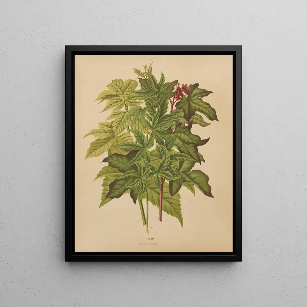Gemälde Flore hollandaise et Pomone PL53 - Abraham Jacobus Wendel | Kunstdruck