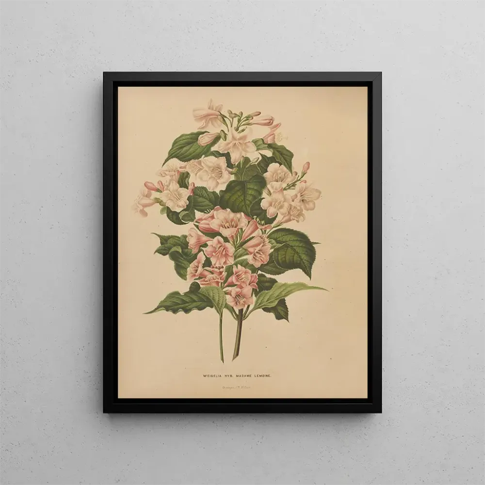 Gemälde Flore hollandaise et Pomone PL74 - Abraham Jacobus Wendel | Kunstdruck