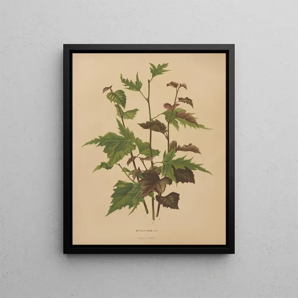 Gemälde Flore hollandaise et Pomone PL76 - Abraham Jacobus Wendel | Kunstdruck