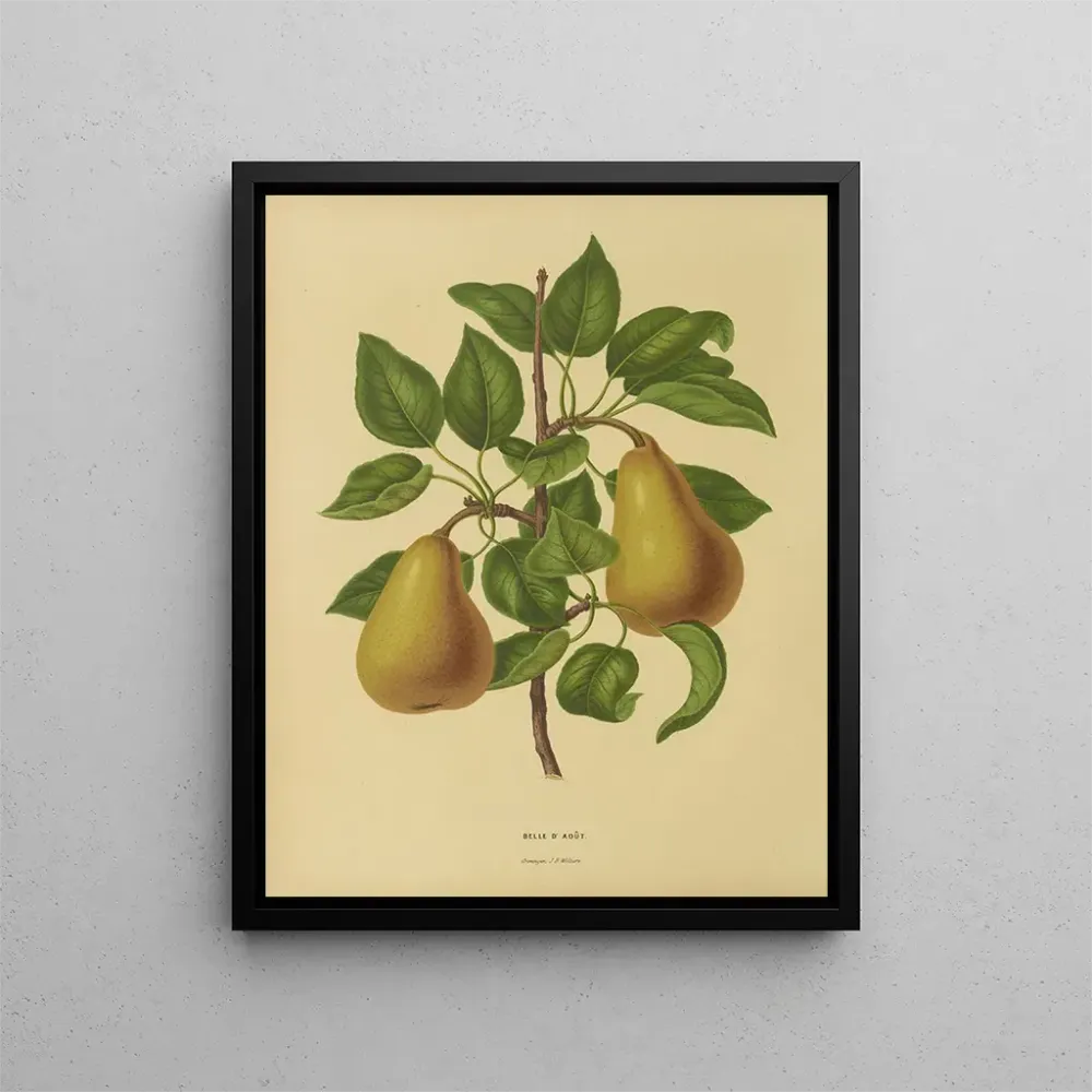 Gemälde Flore holländische und Pomone PL19 - Abraham Jacobus Wendel | Kunstdruck