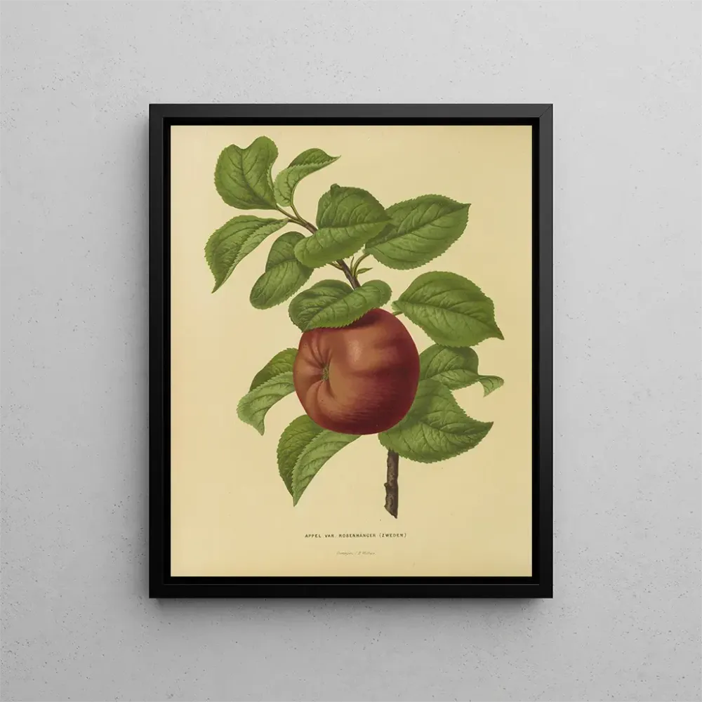 Gemälde Flore holländische und Pomone PL29 - Abraham Jacobus Wendel | Kunstdruck