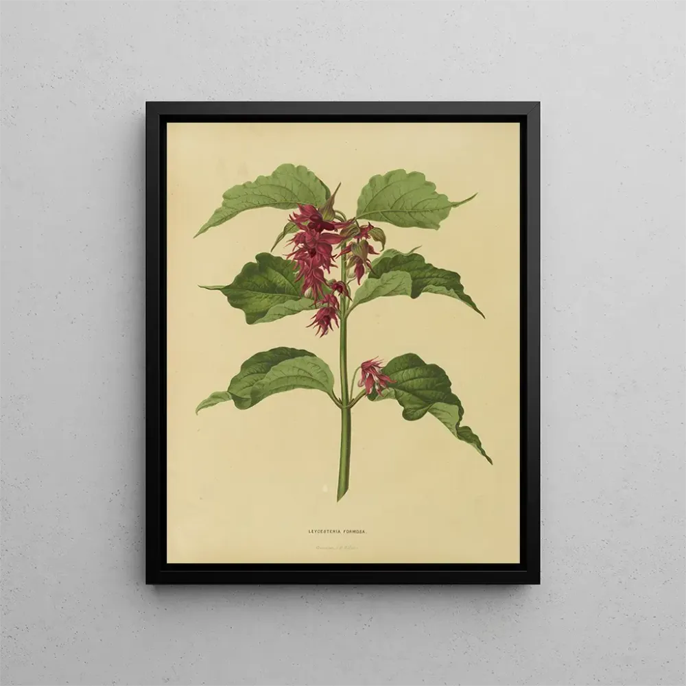 Gemälde Flore holländische und Pomone PL36 - Abraham Jacobus Wendel | Kunstdruck